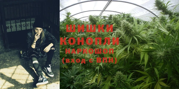 спиды Сосновка
