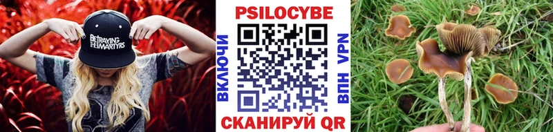 Псилоцибиновые грибы Cubensis  мега ONION  Заполярный 