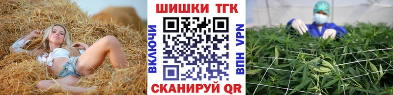 Конопля SATIVA & INDICA  где продают наркотики  Заполярный 